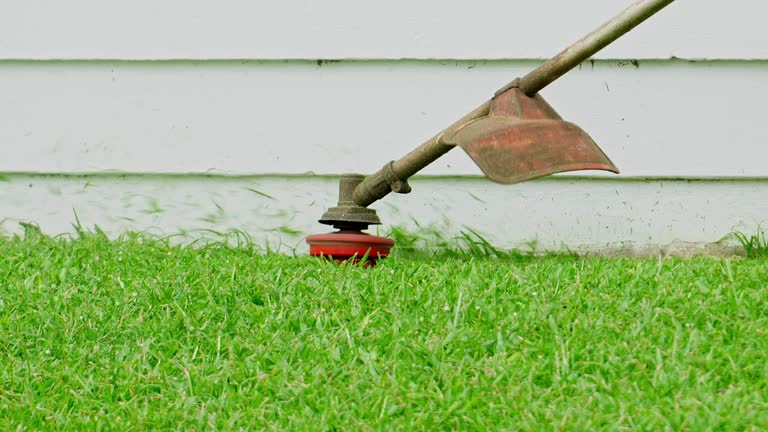 Best Lawn Grading and Leveling  in Passapatanzy, VA