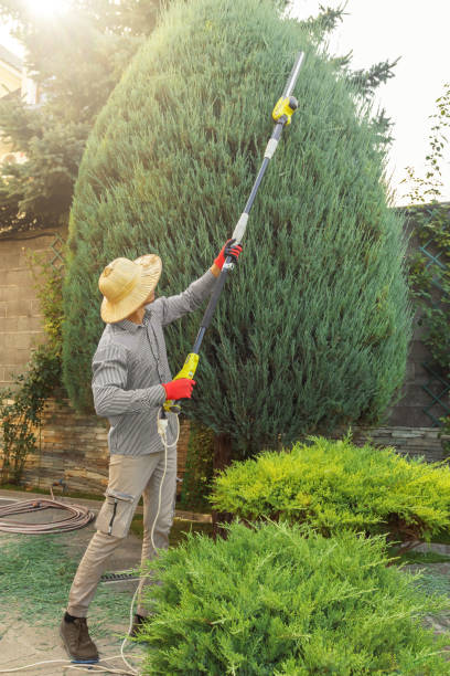 Best Lawn Watering Services  in Passapatanzy, VA